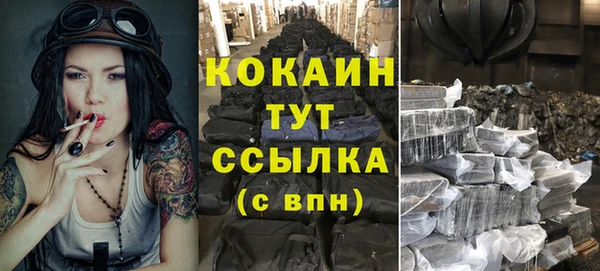 шишки Куйбышев