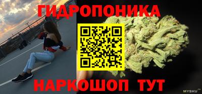 крисы Ирбит