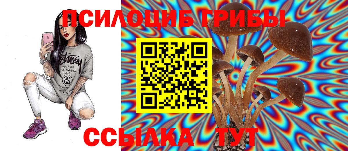 Галлюциногенные грибы мухоморы Краснодар