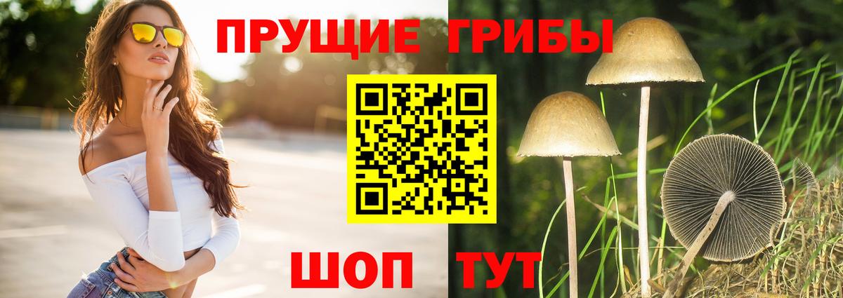 купить наркотик  Псилоцибиновые грибы Psilocybe  Вход с VPN  Краснодар 